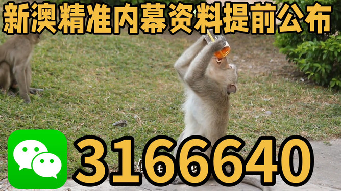 探索澳門特馬文化，四不像的獨(dú)特魅力與未來展望（關(guān)鍵詞，澳門特馬四不像），澳門特馬四不像文化深度探索，魅力、展望與未來發(fā)展