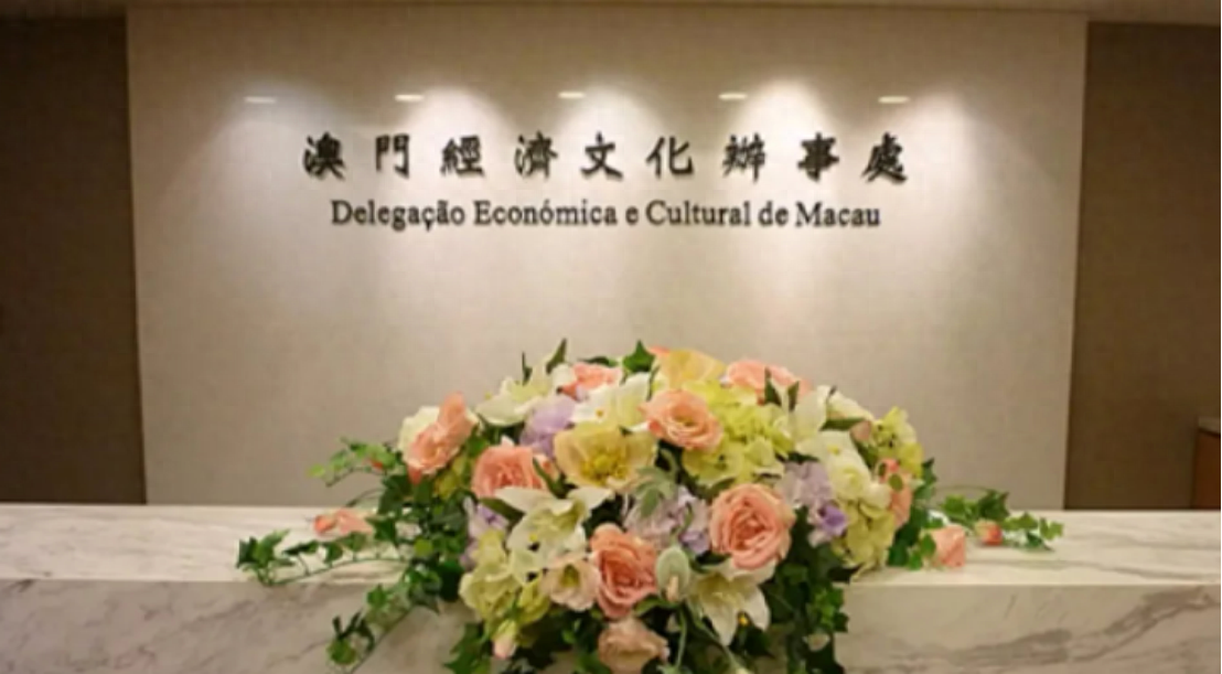 澳門一碼一肖一待一中四不像——揭開神秘面紗下的真相，澳門神秘事件揭秘，一碼一肖一待一中四不像真相探索