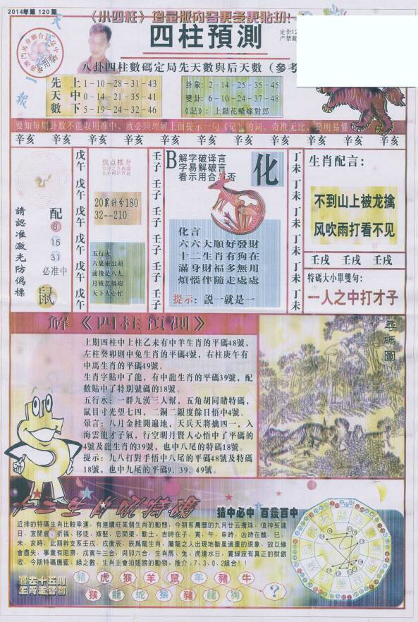 王中王看圖找一肖79期，揭秘生肖奧秘與獨特魅力，揭秘生肖奧秘與獨特魅力，王中王看圖找一肖79期探索之旅