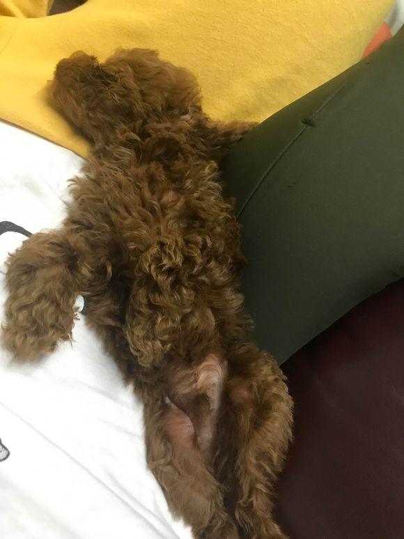 揭秘項(xiàng)目半途而廢背后的原因，為何做到一半會(huì)變軟？，揭秘項(xiàng)目半途而廢的原因，為何進(jìn)展到一半會(huì)遭遇軟化？