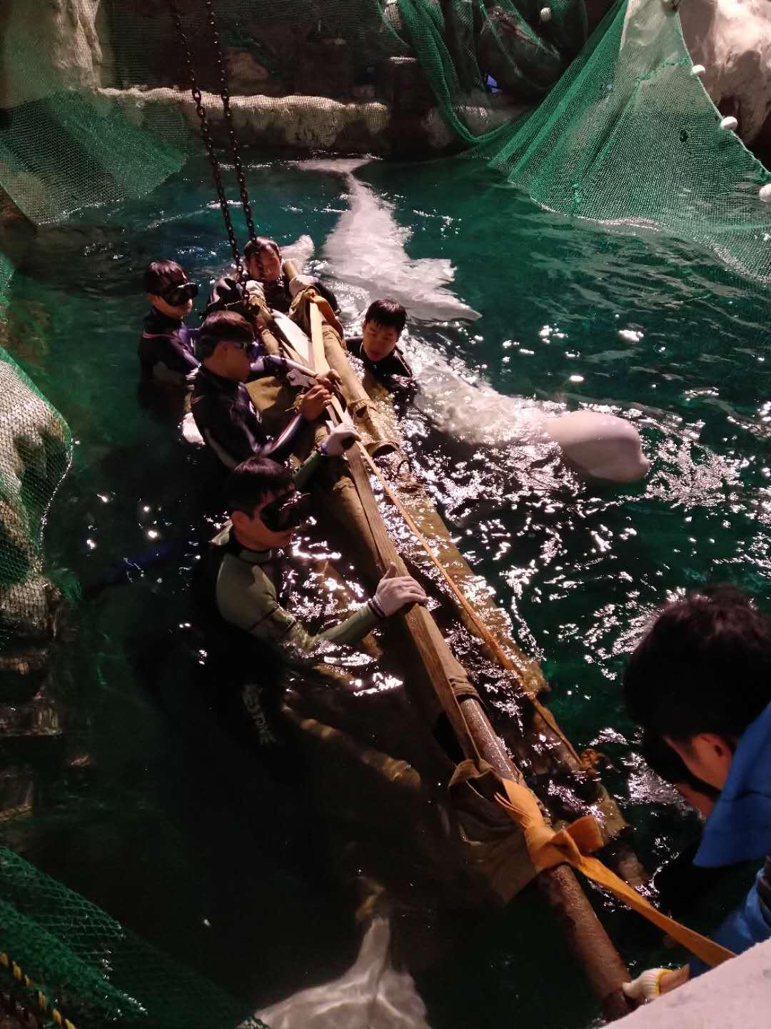 杭州極地海洋公園門票價格詳解，多少錢一張？，杭州極地海洋公園門票價格全解析，費用究竟是多少？