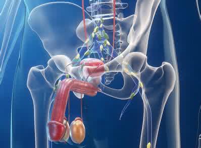 男性前列腺炎的癥狀及其影響，深入了解與應(yīng)對，男性前列腺炎癥狀、影響與應(yīng)對策略，全面深入了解