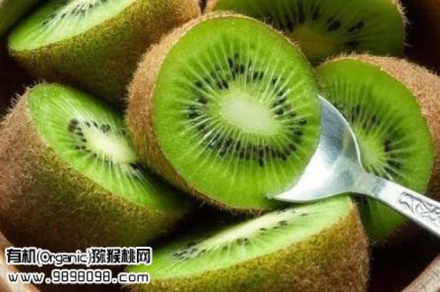六種人不宜吃獼猴桃，了解獼猴桃食用禁忌，六種人群慎食獼猴桃，揭示獼猴桃食用禁忌