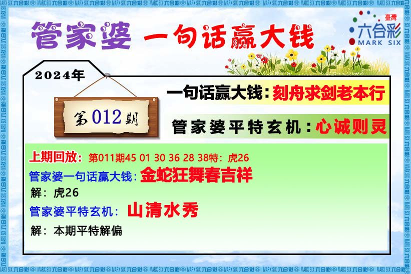 揭秘管家婆王中王，一肖中平特的奧秘，揭秘管家婆王中王的神秘力量，一肖中平特奧秘揭曉