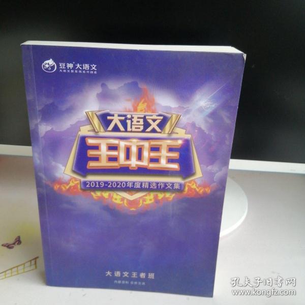 揭秘2019王中王資料一肖，全方位解讀背后的故事，揭秘王中王資料一肖背后的故事，全方位解讀與深度剖析