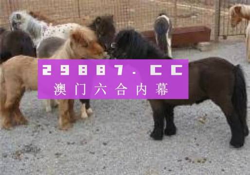 王中王馬會平特一肖論壇，深度探討與SEO優(yōu)化策略，王中王馬會平特一肖論壇，深度探討SEO優(yōu)化策略