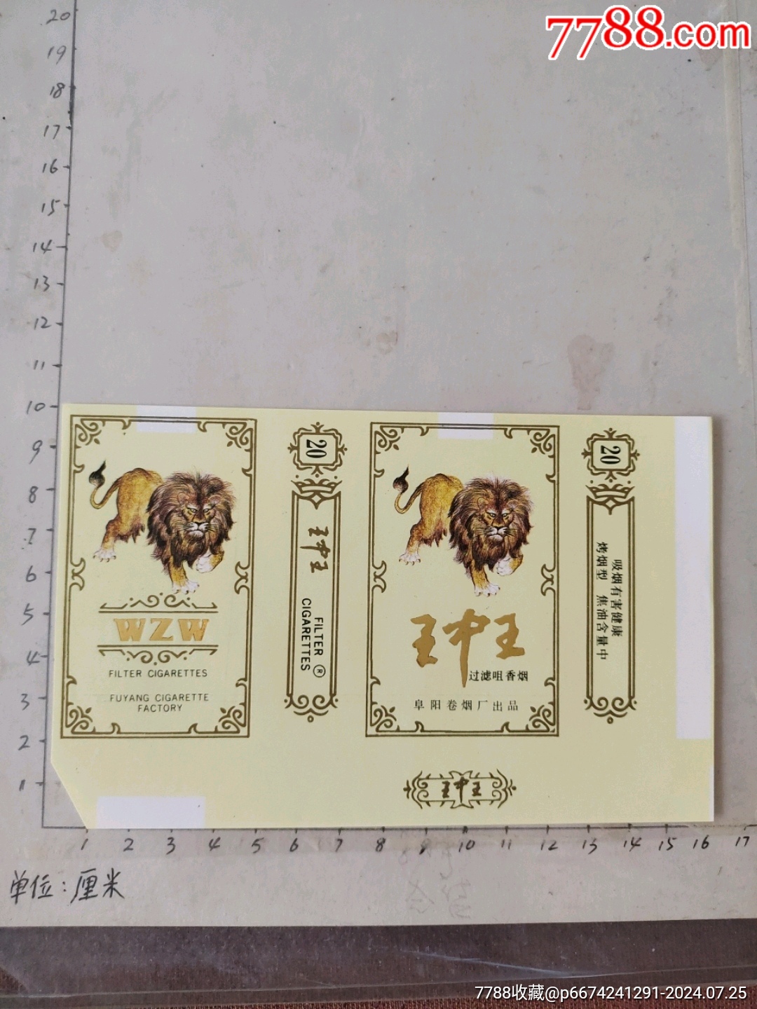揭秘4788王中王一肖中特——探索獨特魅力的奧秘，揭秘王中王一肖中特獨特魅力的奧秘探索