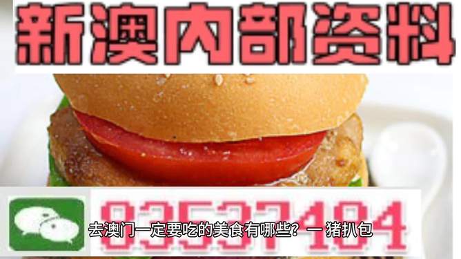 新門內(nèi)部資料精準(zhǔn)大全——探索未知領(lǐng)域的關(guān)鍵信息，新門內(nèi)部資料大全，揭秘未知領(lǐng)域的關(guān)鍵信息