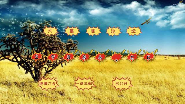 澳門4949開獎結(jié)果最快四不像解析，澳門4949開獎結(jié)果解析與四不像探討