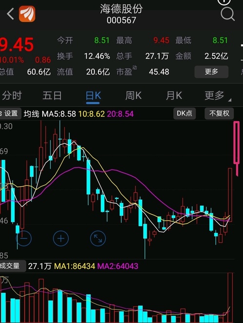 海德股份股票股吧，深度解析與前景展望，海德股份深度解析及前景展望，股票股吧探討