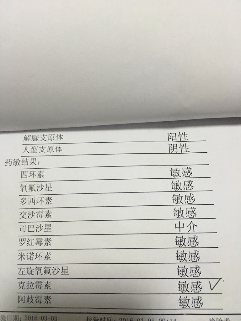 支原體陽性轉(zhuǎn)陰的時(shí)間，了解與應(yīng)對(duì)，支原體陽性轉(zhuǎn)陰的時(shí)間及應(yīng)對(duì)策略