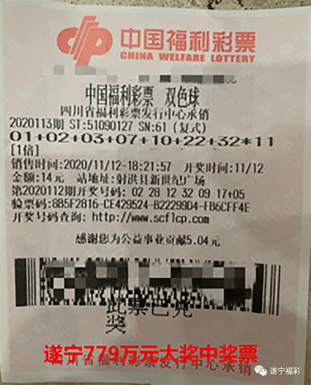 王中王遂寧平臺一肖中特，深度解析與SEO優(yōu)化策略，王中王遂寧平臺一肖中特深度解析與SEO優(yōu)化策略探討
