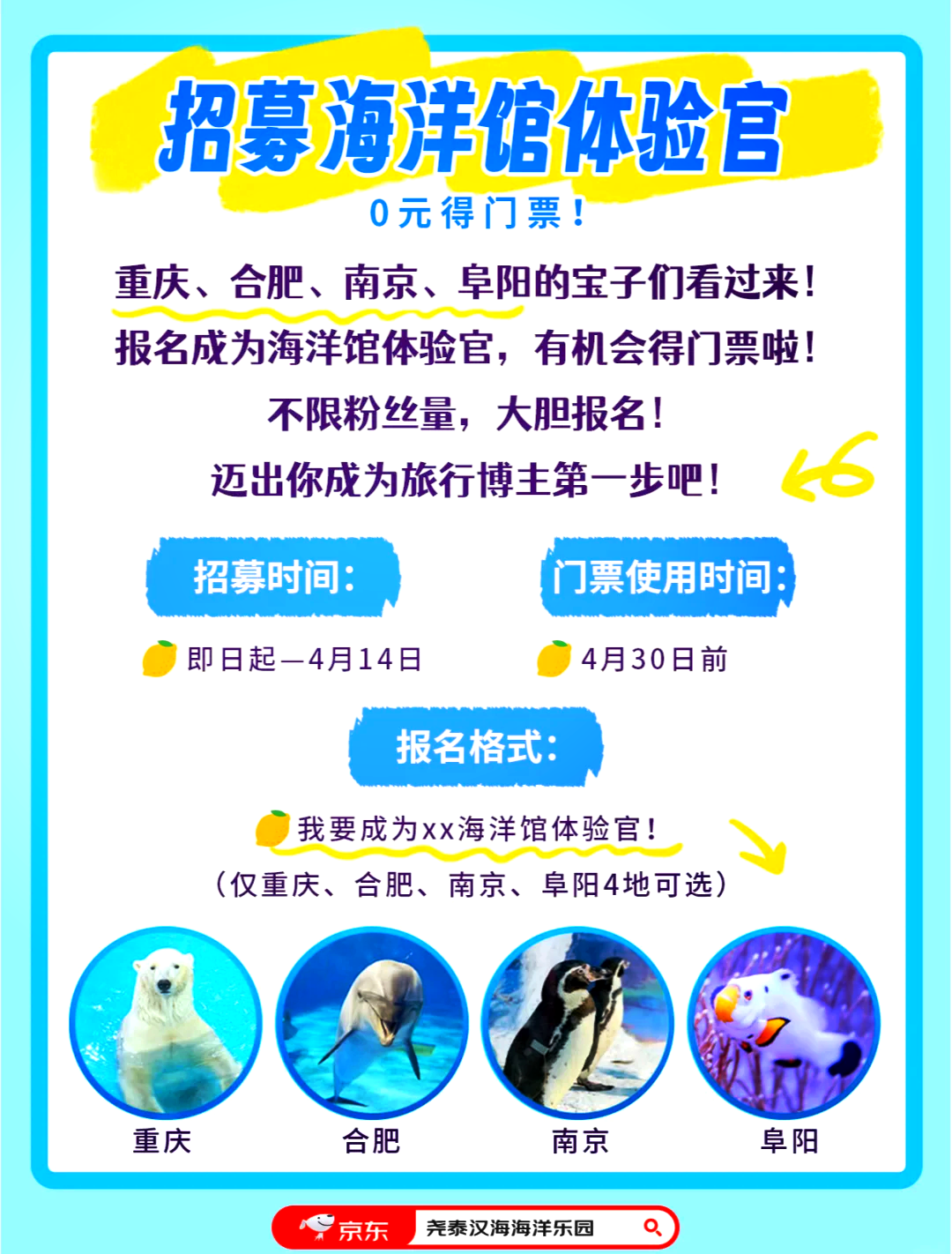 海底世界之旅，預約門票攻略及體驗指南，海底世界之旅，預約門票攻略與體驗指南全解析