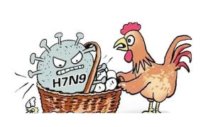 揭秘H7N9病毒，了解它的起源、特性與影響，H7N9病毒揭秘，起源、特性與影響全解析