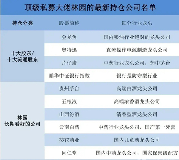 林園最新前十大重倉(cāng)股票，深度解析與前景展望，林園前十大重倉(cāng)股票深度解析及前景展望
