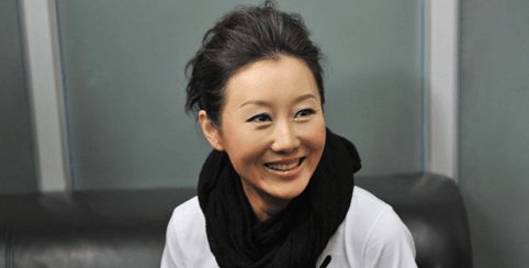 孫楠老婆潘蔚資料大全，孫楠妻子潘蔚資料概覽