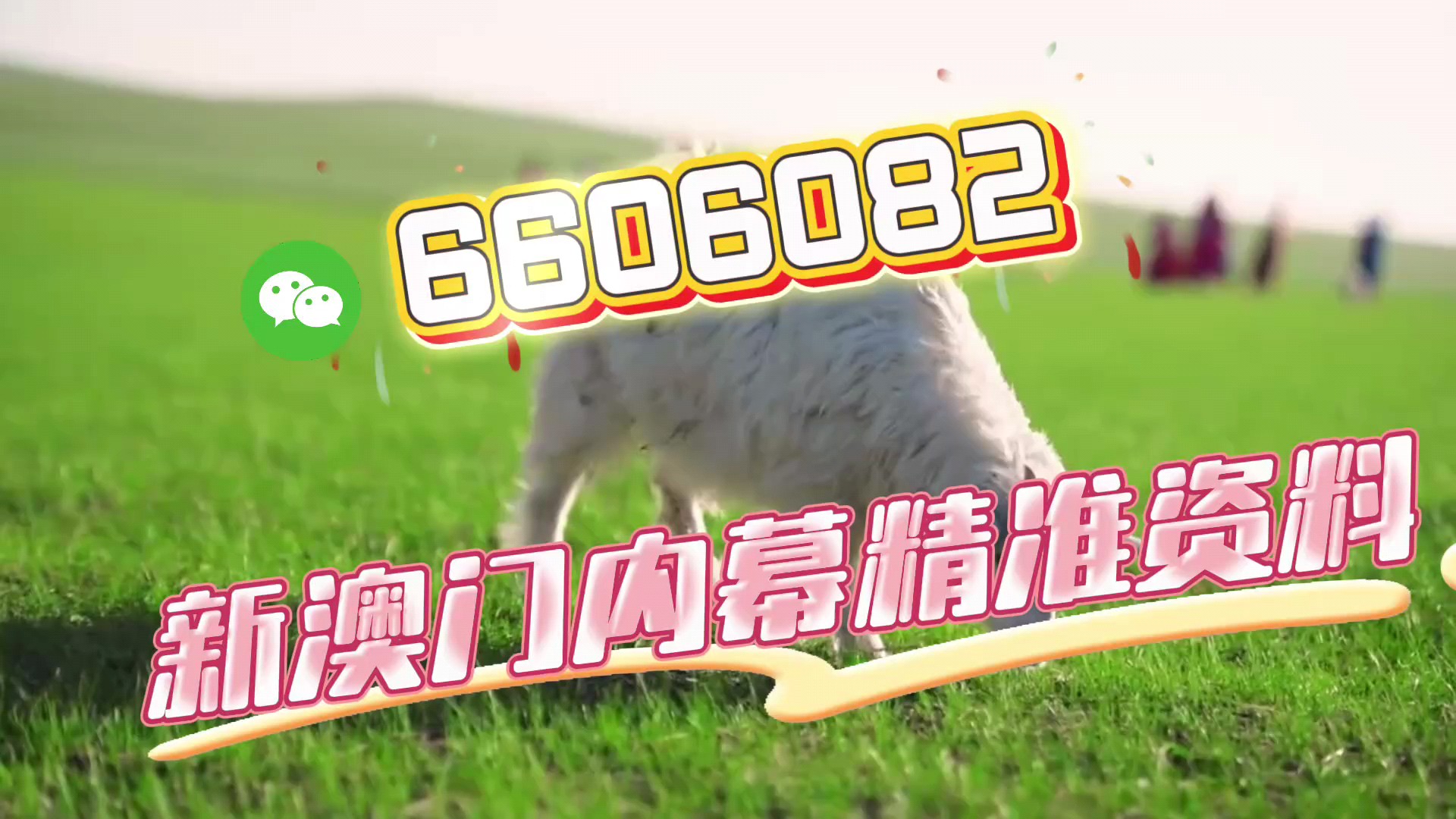 新澳門今晚開(kāi)特馬結(jié)果揭曉，期待與驚喜的交匯點(diǎn)，澳門特馬結(jié)果揭曉，期待與驚喜的交匯之夜