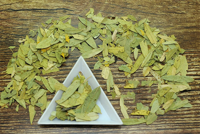 番瀉葉的功效與作用，番瀉葉的功效與作用簡介