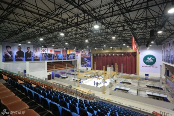 王中王一肖一馬中特平臺(tái)，探索與解析，王中王一肖一馬中特平臺(tái)深度探索與解析