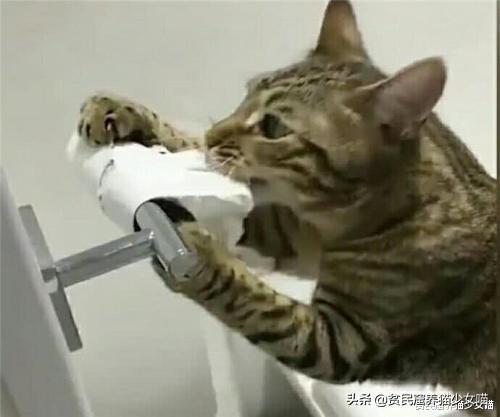 腹瀉拉稀水是什么原因，全面解析常見原因與應對之策，腹瀉拉稀水的原因及應對之策全面解析