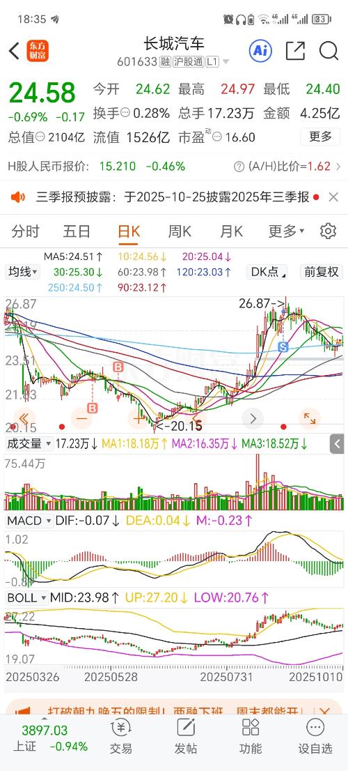 長城汽車股票股吧深度解析，長城汽車股票深度解析與股吧熱議