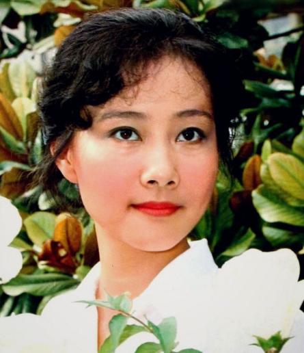 黃梅瑩個(gè)人資料及其丈夫探秘，黃梅瑩個(gè)人檔案揭秘，丈夫身份探秘