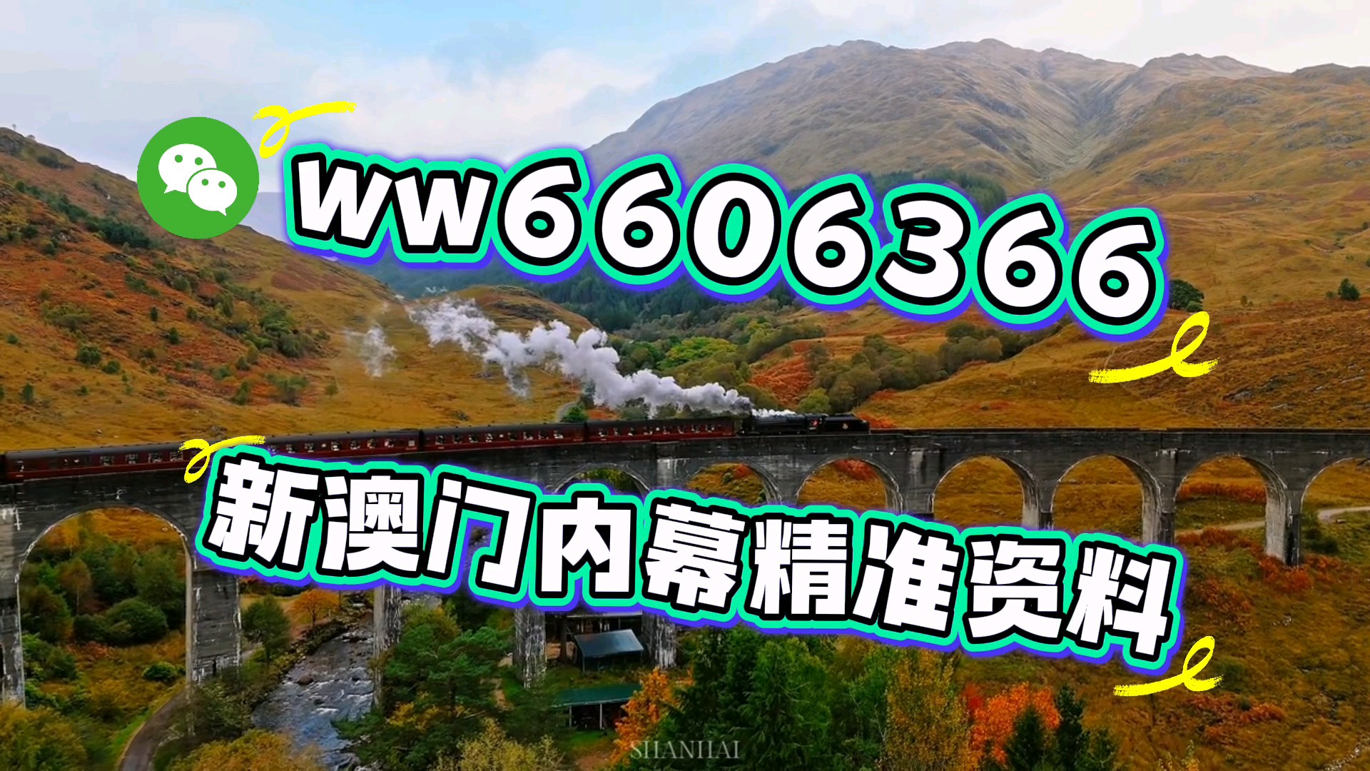 澳門四肖八期期準(zhǔn)免費(fèi)——揭秘彩票預(yù)測(cè)的秘密，澳門四肖八期期精準(zhǔn)預(yù)測(cè)揭秘，彩票預(yù)測(cè)的秘密探索