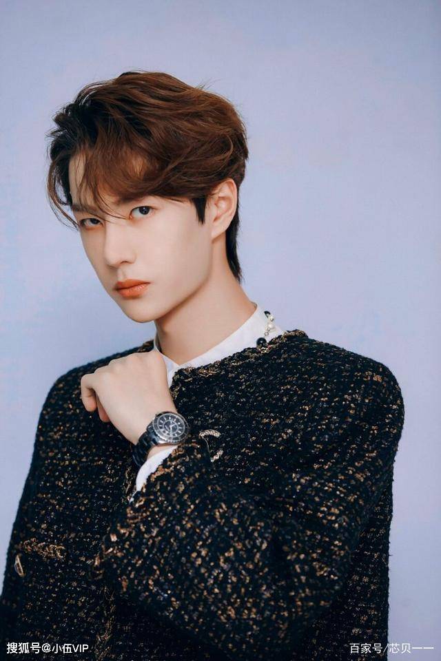 王中王一肖中特資料圖片——深度解析與SEO優(yōu)化文章，王中王一肖中特資料圖片的深度解析與SEO優(yōu)化探討