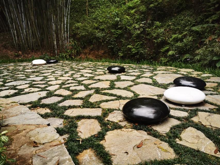 南寧一日游最佳景點推薦，探索綠城之美，南寧一日游必去景點推薦，探尋綠城之美