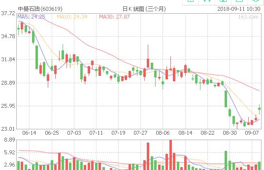 揭秘603619股票，潛力股的投資價值與前景展望，揭秘603619股票，潛力股的投資價值深度分析與前景展望