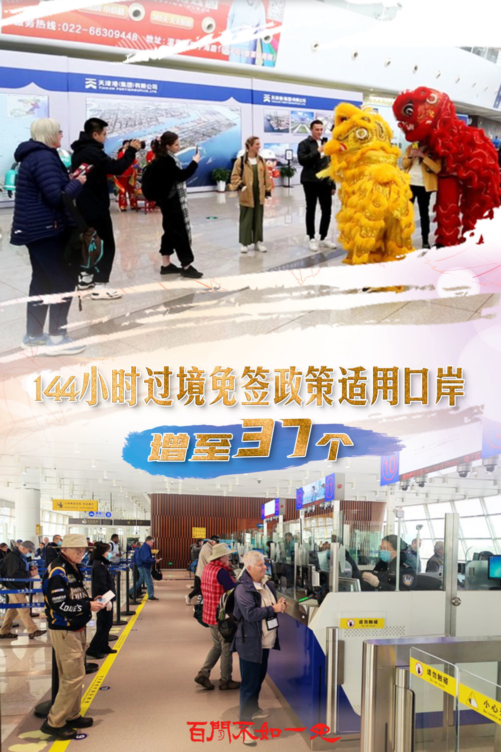 澳門王中王，揭秘一肖一特一中奧秘，澳門王中王揭秘生肖秘密，一肖一特一中奧秘探秘