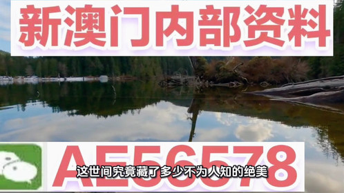 探索未來，2025新澳最新版精準(zhǔn)特色解析，探索未來，揭秘新澳最新版精準(zhǔn)特色解析（2025版）