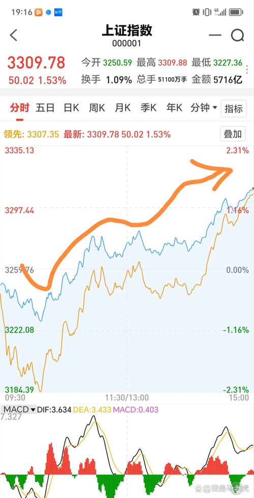 今日股市行情大盤深度解析，今日股市行情深度解析與大盤走勢探討