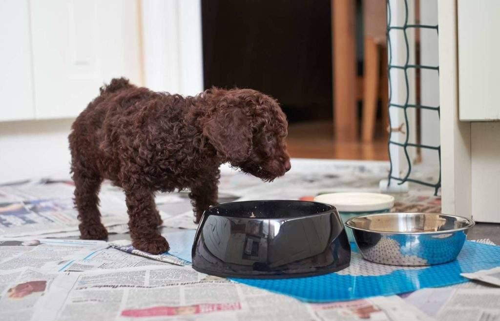 除口臭最好最有效的牙膏，選擇最佳口腔清潔伙伴，告別口臭尷尬，告別口臭尷尬，尋找最有效的口腔清潔伙伴，選擇最佳牙膏守護(hù)口腔健康