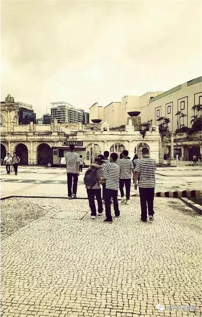 新澳門(mén)一碼一肖一特一中，揭秘第52期看圖預(yù)測(cè)的魅力，揭秘新澳門(mén)一碼一肖一特一中第52期看圖預(yù)測(cè)的魅力