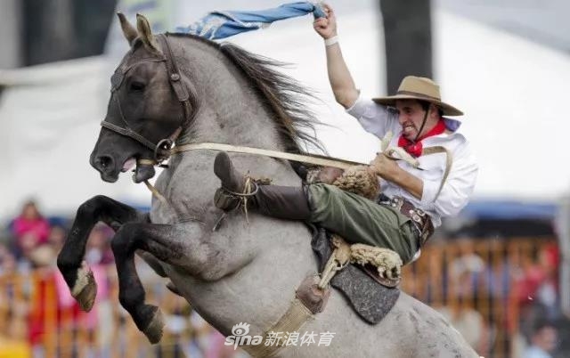 王中王四不像一肖中馬——探尋神秘生肖的魅力，探尋神秘生肖馬之魅力，王中王四不像一肖中馬揭秘