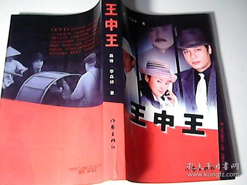 王中王資料一肖中特小說，深度解析與探索，王中王資料一肖中特小說的深度解析與探索之旅