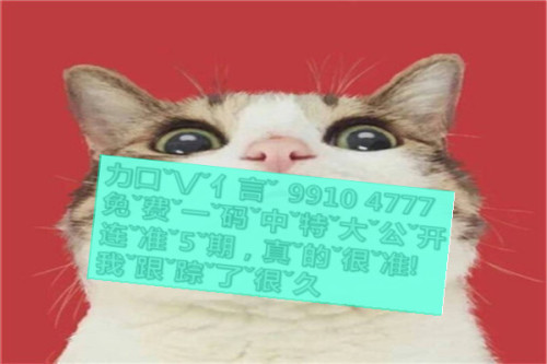 一肖啥意思，深度解析與SEO優(yōu)化文章，一肖含義深度解析與SEO優(yōu)化策略探討