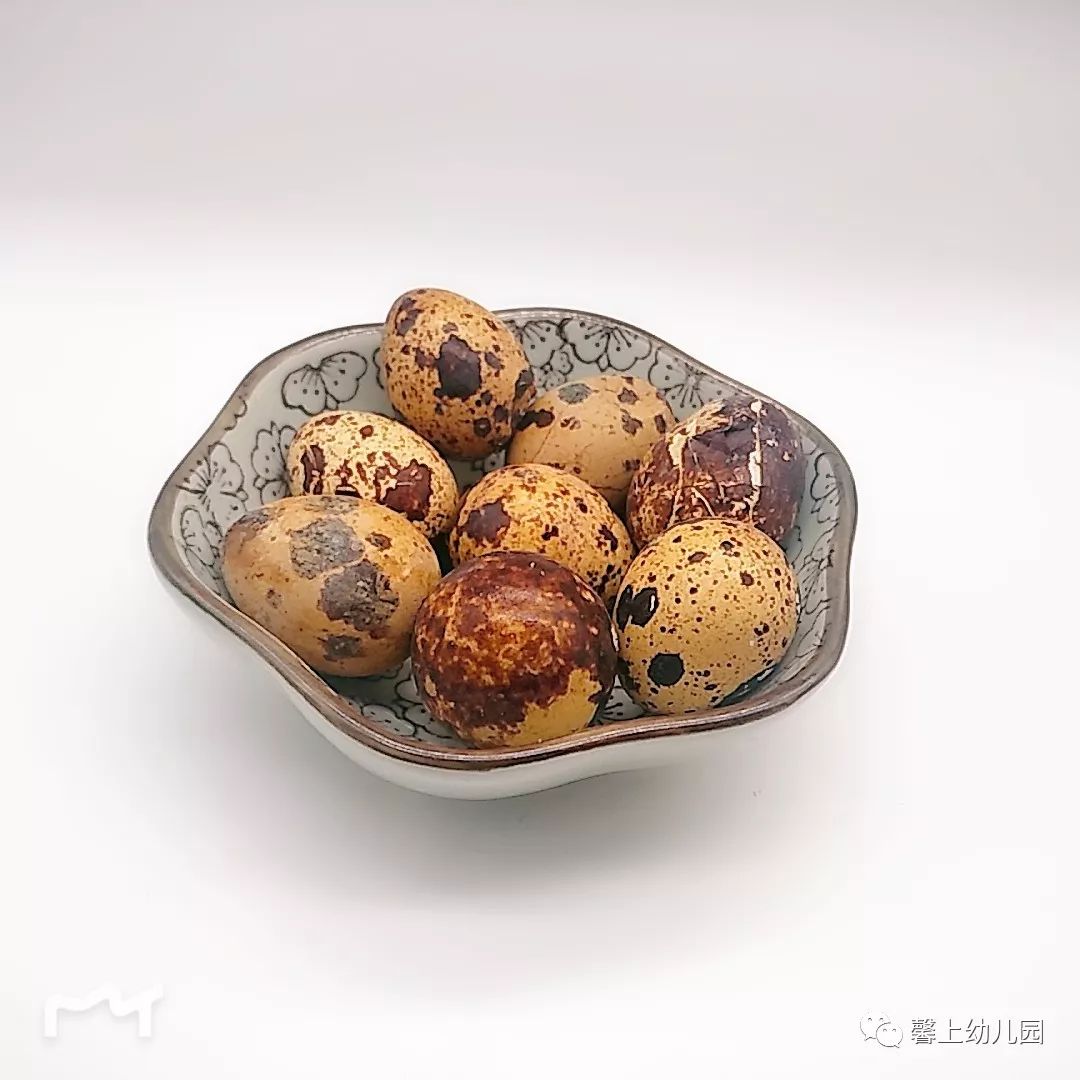 關(guān)于十個(gè)月寶寶的健康成長，一日三餐食譜指南，十個(gè)月寶寶的健康成長，一日三餐食譜指南